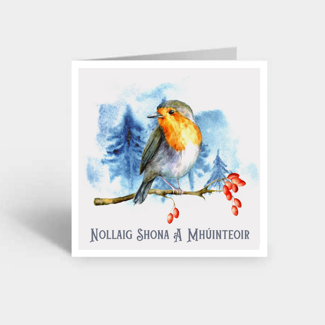 Nollaig Shona a Mhúinteoir