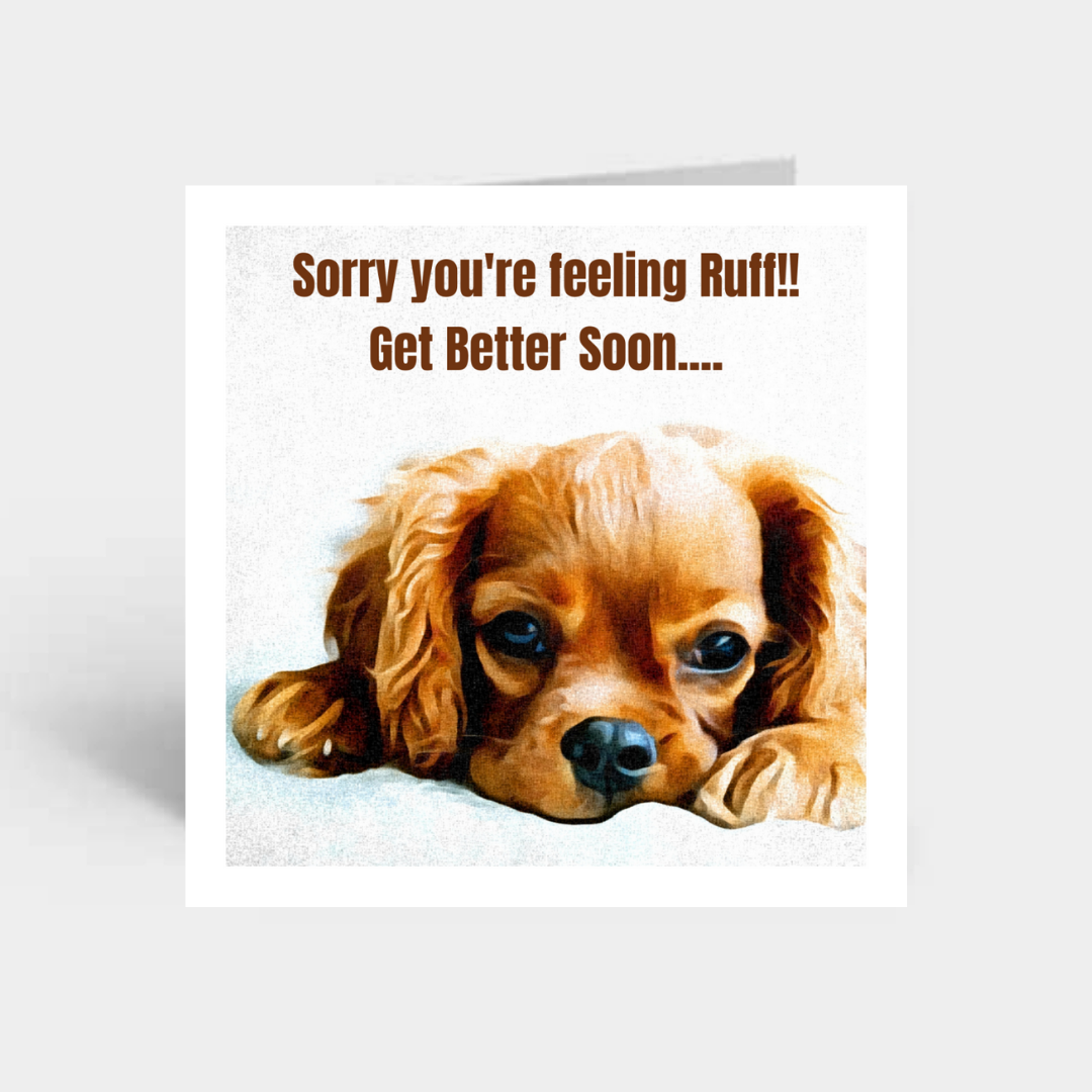 "Sorry You're Feeling Ruff..."