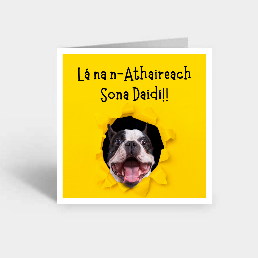 Lá na n-Athaireacha Sona Daidí